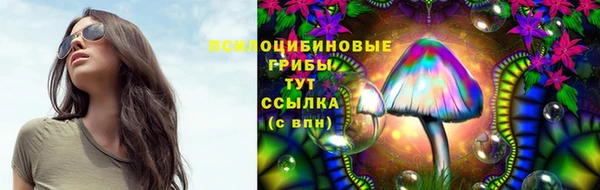 эйфоретик Нефтегорск