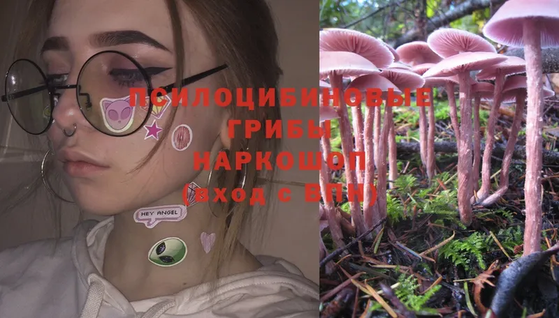 Псилоцибиновые грибы Psilocybe  Людиново 