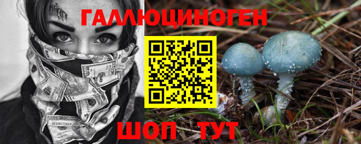 Галлюциногенные грибы Psilocybe Людиново