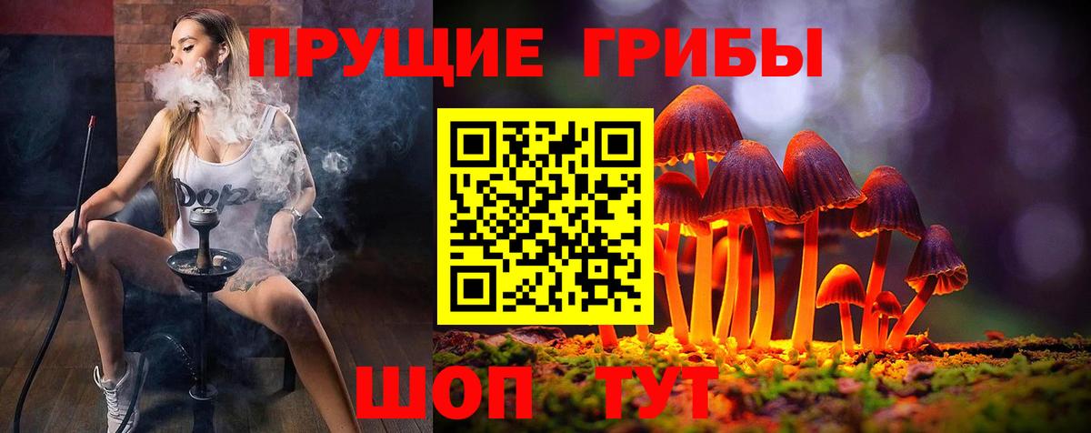 Галлюциногенные грибы Psilocybine cubensis  Галлюциногенные грибы ЛСД  Вход с VPN  Людиново 
